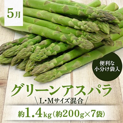 【発送月固定定期便】 2027年5月以降順次発送 旬極味『市場厳選』野菜果物セット01562_全3回