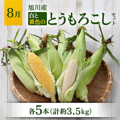 【発送月固定定期便】 2027年5月以降順次発送 旬極味『市場厳選』野菜果物セット01562_全3回
