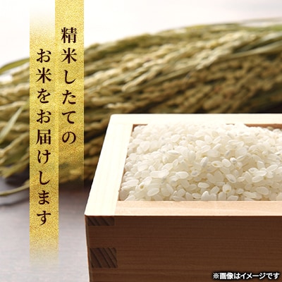 【特Aランク】令和7年産米北海道産ゆめぴりか 精米合計10kg(5kg×2袋)【旭川市】_04806