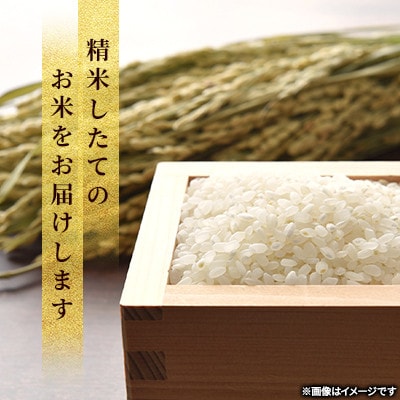 【特Aランク】令和7年北海道産 ゆめぴりか(精米)5kg_04805