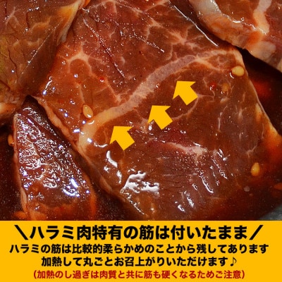 【合計900g】秘伝タレ漬け厚切牛ハラミ(サガリ)300g×3袋_03638