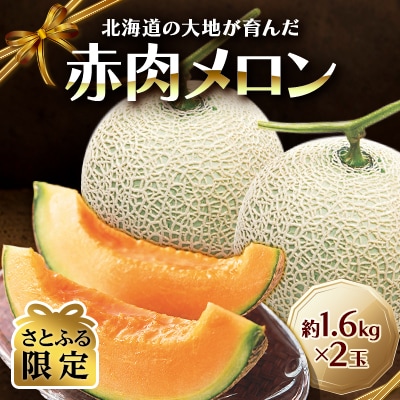 【さとふる限定】北海道の大地が育んだ「赤肉メロン」約1.6kg×2玉_01158