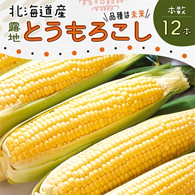 露地とうもろこし(未来)12本_04755
