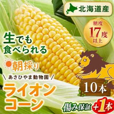2026年先行受付【高糖度!まるでフルーツ】北海道産とうもろこし旭山ライオンコーン10本_00307