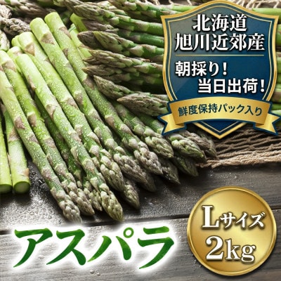 2026年産【Lサイズ】【朝採り当日発送!瑞々しく甘い!】北海道産アスパラ2kg_01591