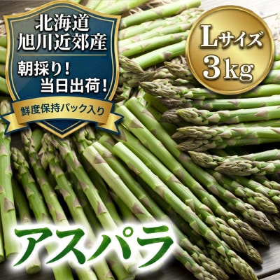 2026年産【Lサイズ】【朝採り当日発送!瑞々しく甘い!】北海道産アスパラ3kg_01592