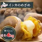 【先行受付】2026年1月より発送　越冬品　インカのめざめ　4kg　北海道産のじゃがいも_01985