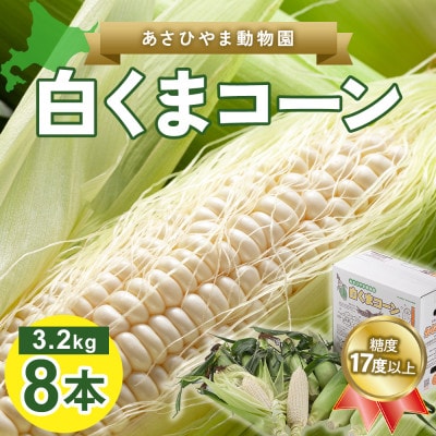 2025年8月より発送　あさひやま動物園白くまコーン3.2kg　旭山動物園監修箱入り_03811