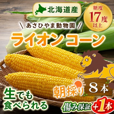 2026年8月下旬以降　あさひやま動物園ライオンコーン3.2kg　旭山動物園監修箱入り_03812