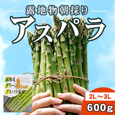 旭川近郊産露地物アスパラ　600g　2L～3L_03816