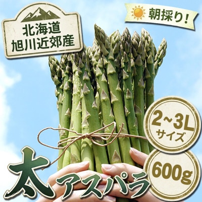 旭川近郊産露地物アスパラ　600g　2L～3L_03816