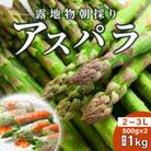 旭川近郊産露地物アスパラ　1kg　2L～3L_03817