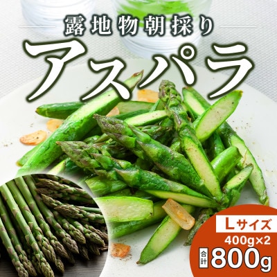 【先行受付】令和7年5月中旬より順次発送　旭川近郊産グリーンアスパラ　800g　Lサイズ_03818