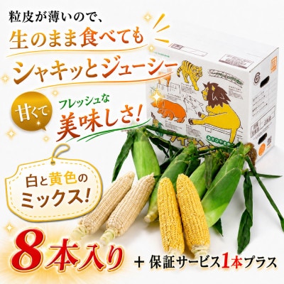 2026年先行受付【生でも美味】北海道あさひやま動物園白くまコーン4本ライオンコーン4本_03815