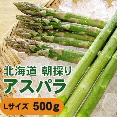 【先行受付】令和7年5月下旬より順次発送　旭川近郊産グリーンアスパラ　500g　Lサイズ_04750