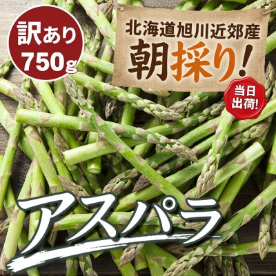 訳あり でも旨い【朝採り当日発送!】北海道産アスパラ約750g_04751