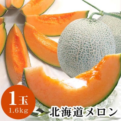【先行受付】令和7年7月中旬以降　北海道産赤肉メロン完熟糖度16度　1玉　約1.6kg_04752