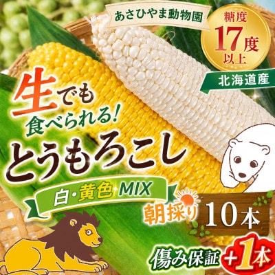 2026年先行受付【高糖度!まるでフルーツ】北海道産とうもろこし食べ比べ10本(各5本)_02157