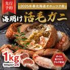 【先行予約】北海道オホーツク産海明け活毛ガニボイル未冷凍チルド冷蔵配送500g前後×2尾_03500