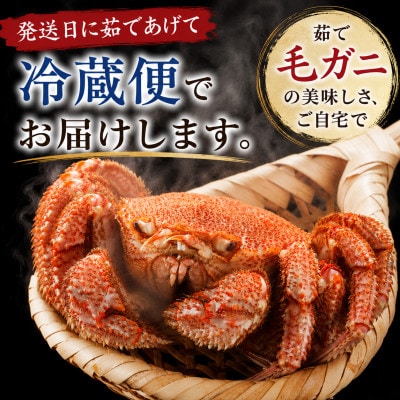 【先行予約】北海道オホーツク産海明け活毛ガニボイル(チルド冷蔵配送)500g前後×4_03502