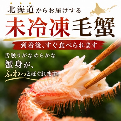 【先行予約】北海道オホーツク産海明け活毛ガニボイル(チルド冷蔵配送)500g前後×4_03502