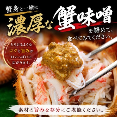 【先行予約】北海道オホーツク産海明け活毛ガニボイル(チルド冷蔵配送)500g前後×4_03502