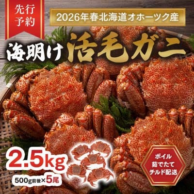 【先行予約】北海道オホーツク産海明け活毛ガニボイル(チルド 冷蔵配送)500g前後×5_03503