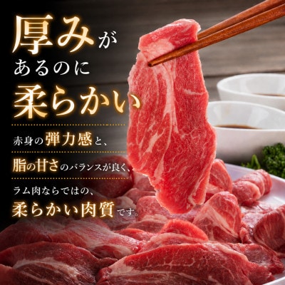 厚切り生ラムジンギスカン 800g(400g×2)・ジンギスカンのたれ 160g セット_04829