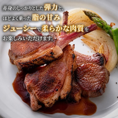 生ラムジンギスカン400g、ラムチョップ骨付きロース肉500g、タレ80g×2個 セット_04830