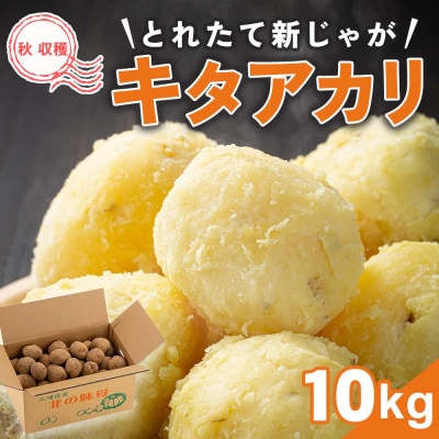 【先行受付】2026年10月より順次発送　新じゃがキタアカリ　10kg　北海道産_04857