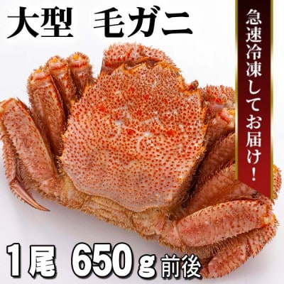 北海道産 ボイル毛ガニ 冷凍 1尾 650g前後_05581