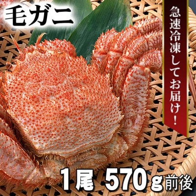 北海道産 ボイル毛ガニ 冷凍 1尾 570g前後_05580