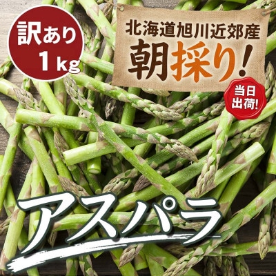 2027年産 訳あり でも旨い【朝採り当日発送!】北海道産アスパラ 1kg_06553