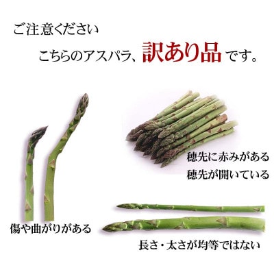 2027年産 訳あり でも旨い【朝採り当日発送!】北海道産アスパラ 1kg_06553