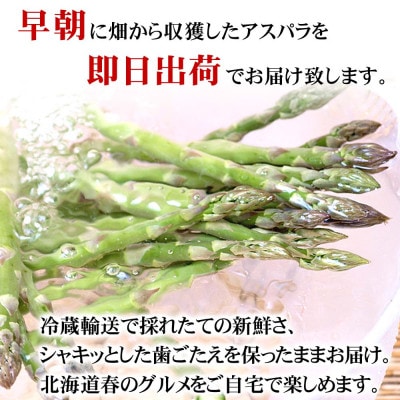2027年産 訳あり でも旨い【朝採り当日発送!】北海道産アスパラ 1kg_06553
