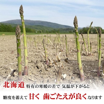2027年産 訳あり でも旨い【朝採り当日発送!】北海道産アスパラ 1kg_06553
