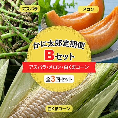 【発送月固定定期便】かに太郎定期便Bセット　アスパラ・赤肉メロン・白くまコーン_01597_全3回