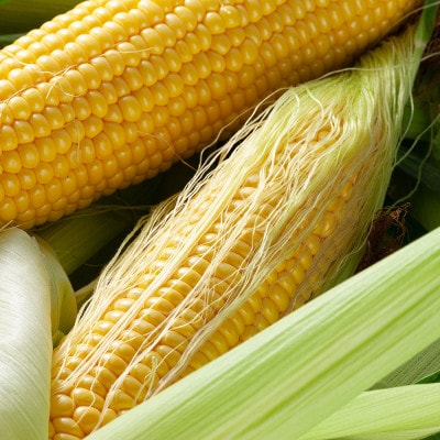 【発送月固定定期便】かに太郎定期便A　メロン、とうもろこし(黄色・白)、イクラ_01193_全4回