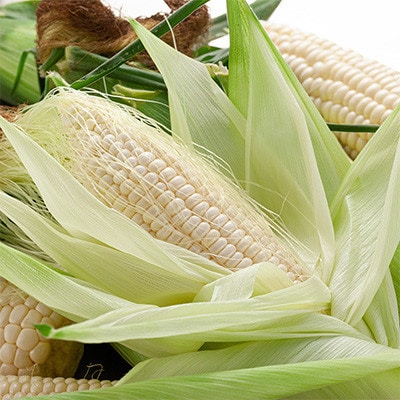 【発送月固定定期便】かに太郎定期便Jアスパラ メロンとうもろこしキタアカリ イクラ03823_全5回