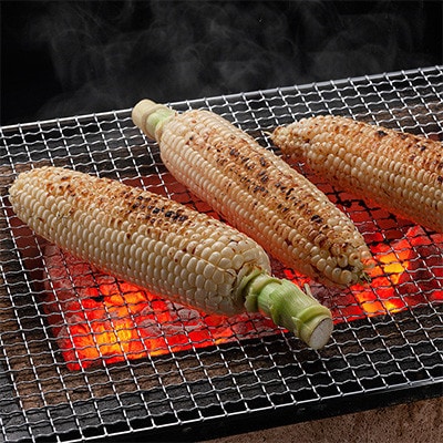 【発送月固定定期便】かに太郎定期便Kアスパラ メロン とうもろこし 男爵 イクラ_03824_全5回