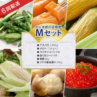 【発送月固定定期便】かに太郎定期便Mアスパラ メロン とうもろこし2 男爵 イクラ03826_全6回