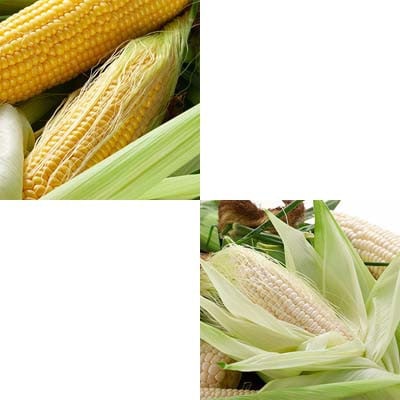 【発送月固定定期便】かに太郎定期便Nアスパラ メロン とうもろこし2回 いも イクラ03827全6回