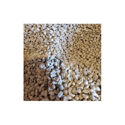 【豆】浅煎&中煎 北海道旭川焙煎コーヒー豆 100g×10袋_02945
