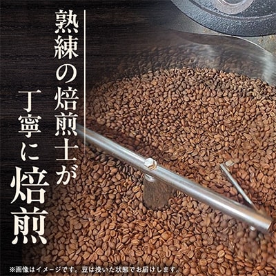 【挽】浅煎&中煎 北海道旭川焙煎 コーヒー豆 100g×10袋_02946