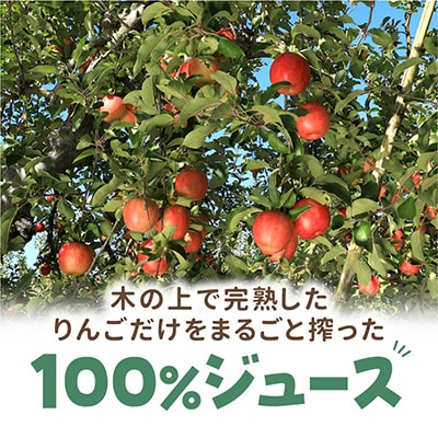 【B】りんご王子のりんごジュース6本セット_00095