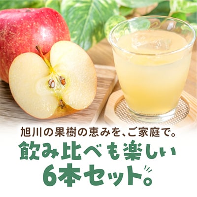 【B】りんご王子のりんごジュース6本セット_00095