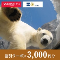 【北海道旭川市】一休.com・Yahoo!トラベル割引クーポン(3,000円分)_02870