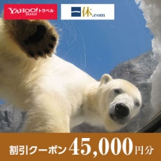 【北海道旭川市】一休.com・Yahoo!トラベル割引クーポン(45,000円分)_02875