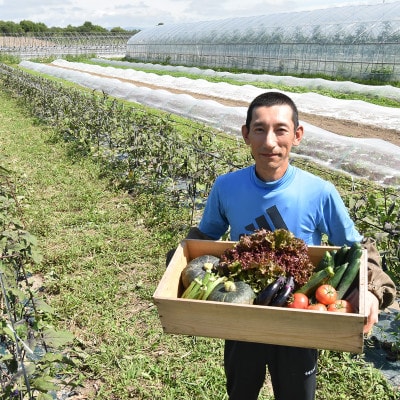 【北海道】旬の野菜詰め合わせ[6～8種類]栽培期間中農薬・化学肥料不使用_02944