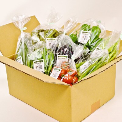 【発送月固定定期便】【7～9月発送】旬の野菜詰合せ6～8種類 栽培期間中農薬不使用_04701全3回